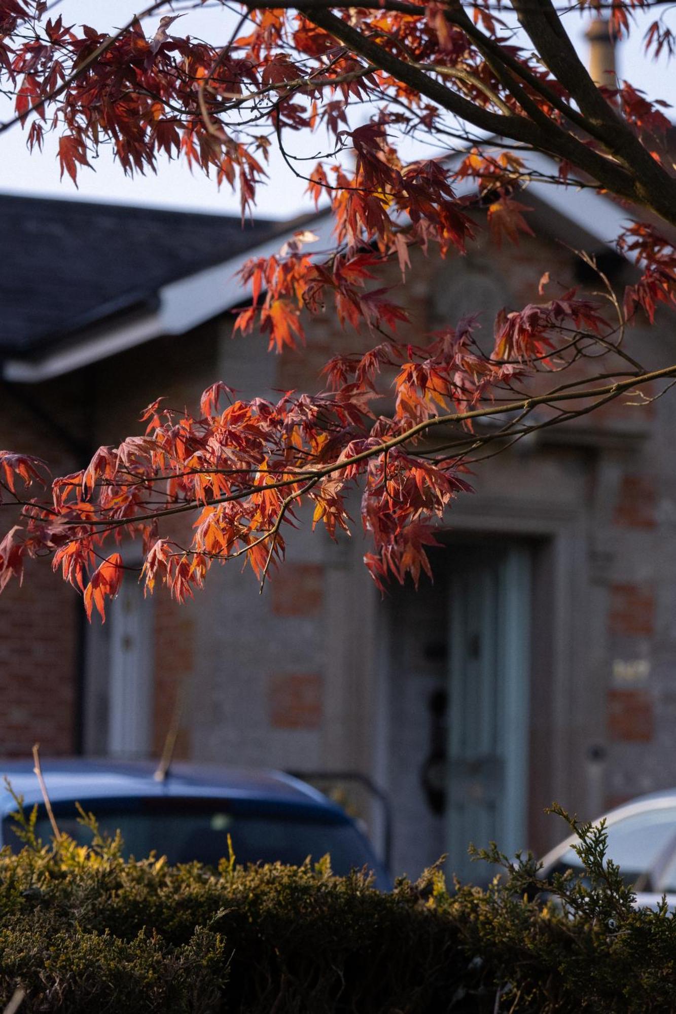Oranmore Ballymena Εξωτερικό φωτογραφία